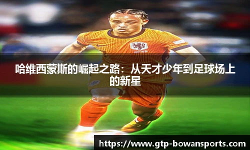 博万体育官方网站